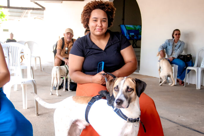 Prefeitura de Juazeiro divulga segunda lista de contemplados do Projeto de Castração Gratuita de cães e gatos