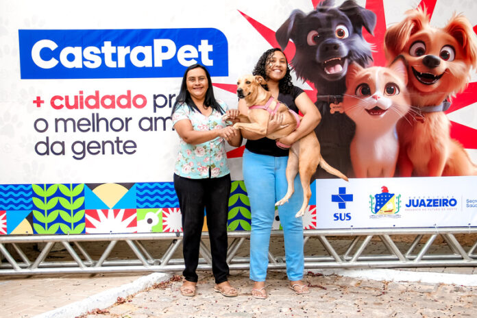 Prefeitura de Juazeiro inicia castrações e microchipagens gratuitas de cães e gatos em ação inédita no município