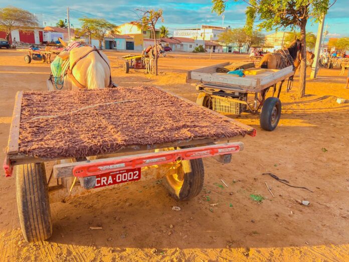 Prefeitura de Juazeiro avança no cadastro de carroceiros e na entrega de equipamentos de segurança