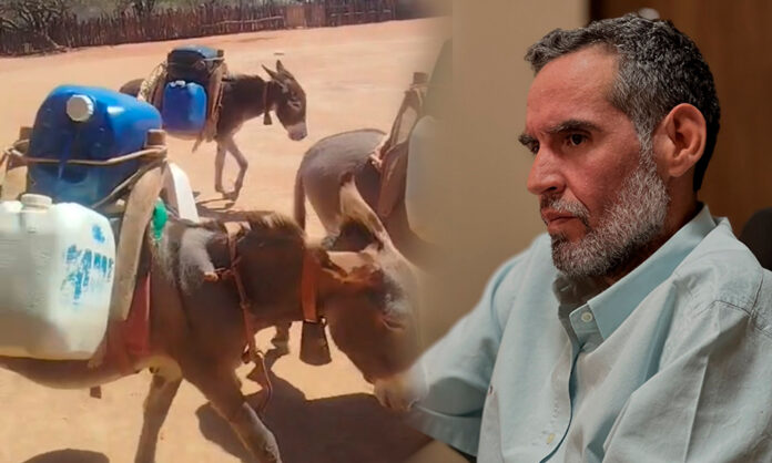 Vídeo: Famílias rurais de Casa Nova sofrem sem água, e a população critica o que chama de “o pior prefeito da história”, Anísio Viana