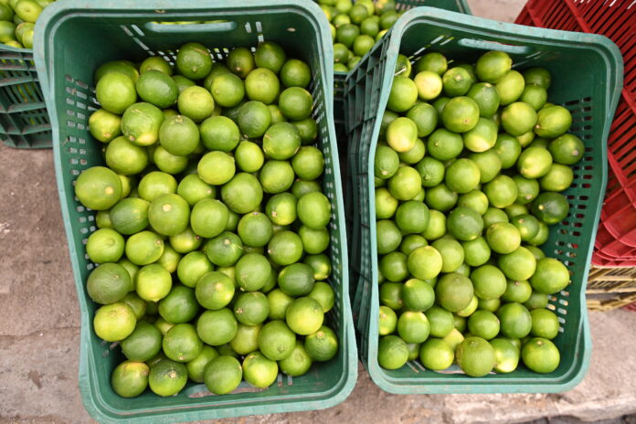 AMA divulga cotação dos hortifrutigranjeiros comercializados no Mercado do Produtor de Juazeiro nesta sexta-feira (24)
