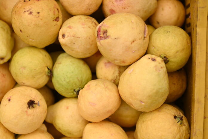 AMA divulga preços atualizados de hortifrutigranjeiros no Mercado do Produtor de Juazeiro nesta quarta-feira (29)