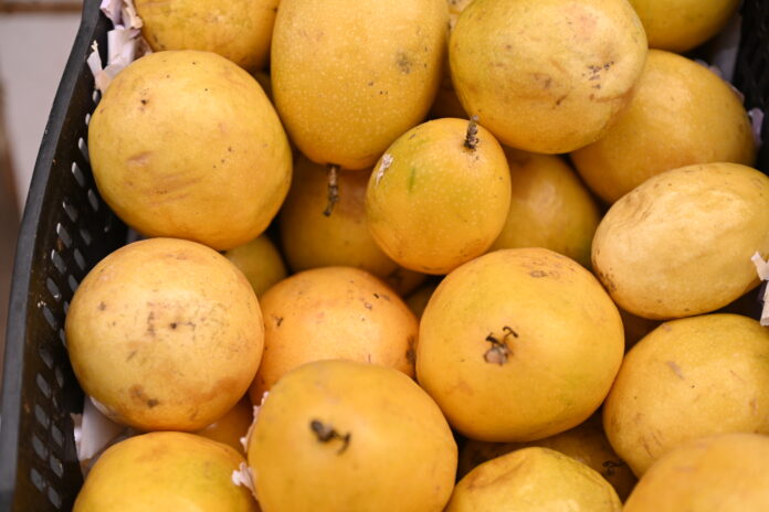 AMA divulga cotação atualizada de hortifrutigranjeiros no Mercado do Produtor de Juazeiro nesta segunda (4)