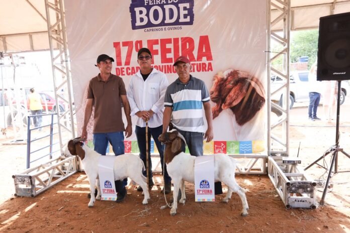 Conhecimento e inovação em melhoramento genético marcam o segundo dia da Feira do Bode de Pinhões