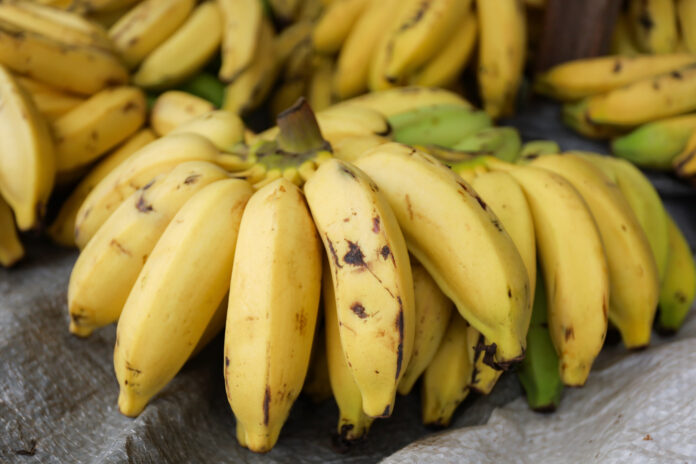 AMA divulga cotação de hortifrutigranjeiros comercializados no Mercado do Produtor nesta terça-feira (18)