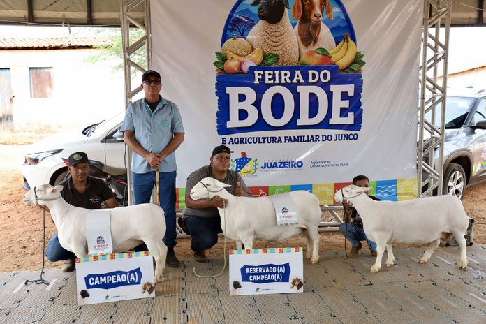 8ª Feira do Bode fortalece a agricultura familiar, movimenta a economia e celebra a cultura do Junco, em Juazeiro