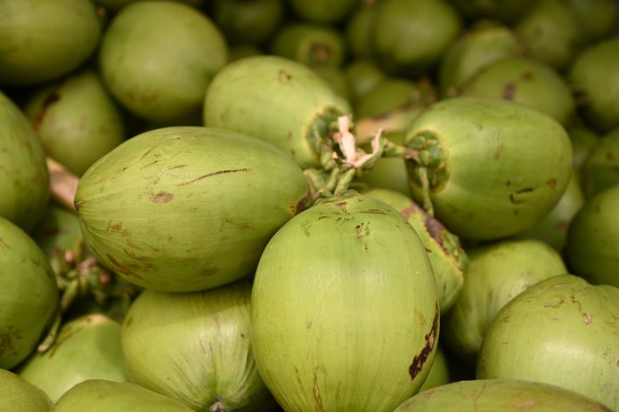 Super El Niño: Prefeitura de Juazeiro divulga cotação do Mercado do Produtor e destaca o coco na hidratação
